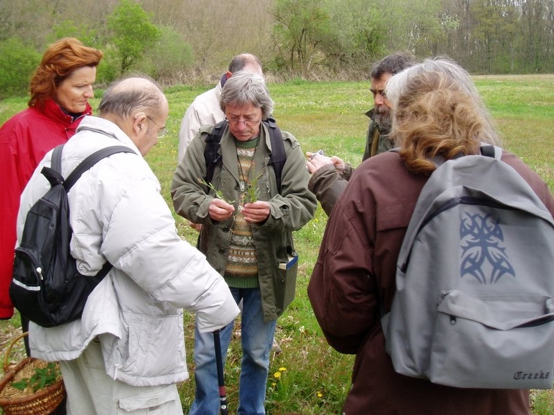 2006 04 Plantes alimentaire 03